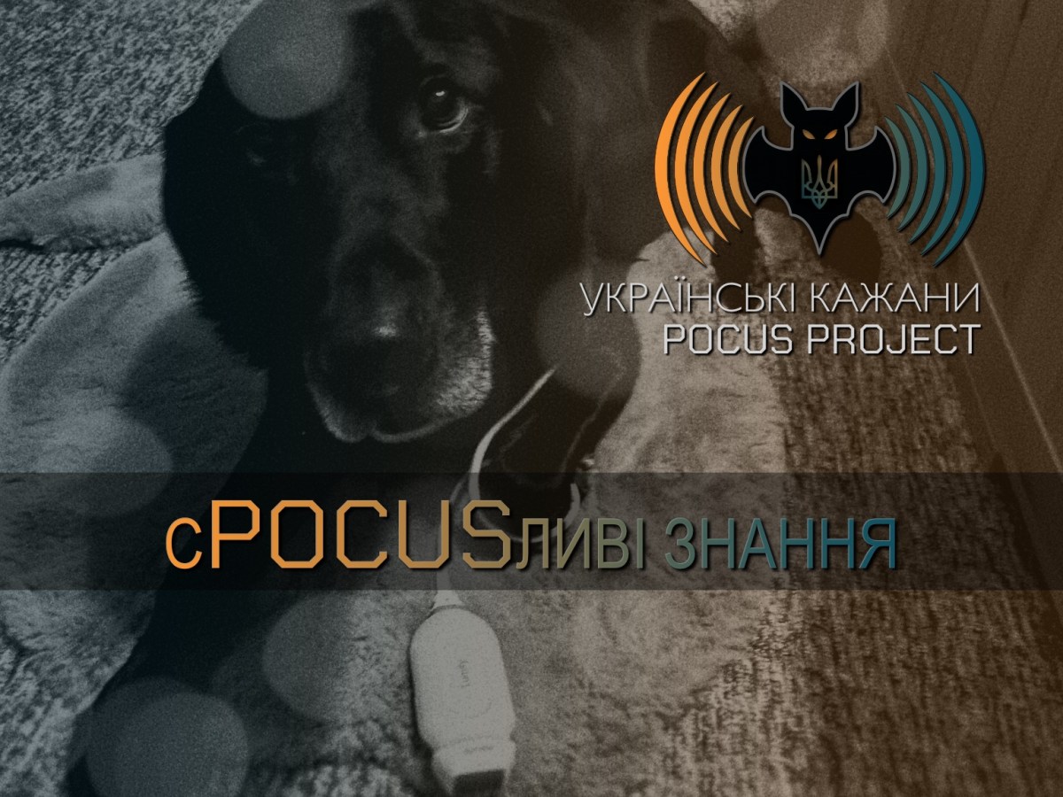 СПОКУСЛИВІ ЗНАННЯ…