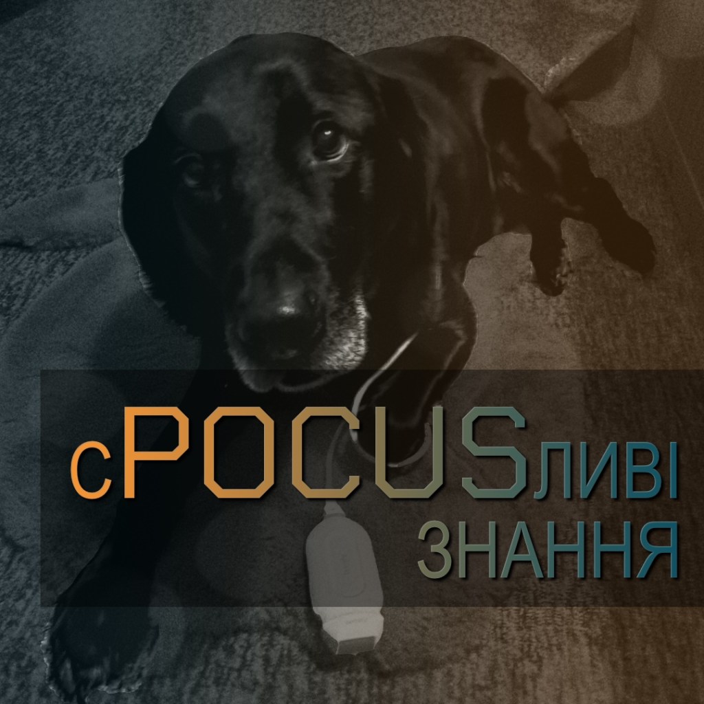 СПОКУСЛИВІ ЗНАННЯ…